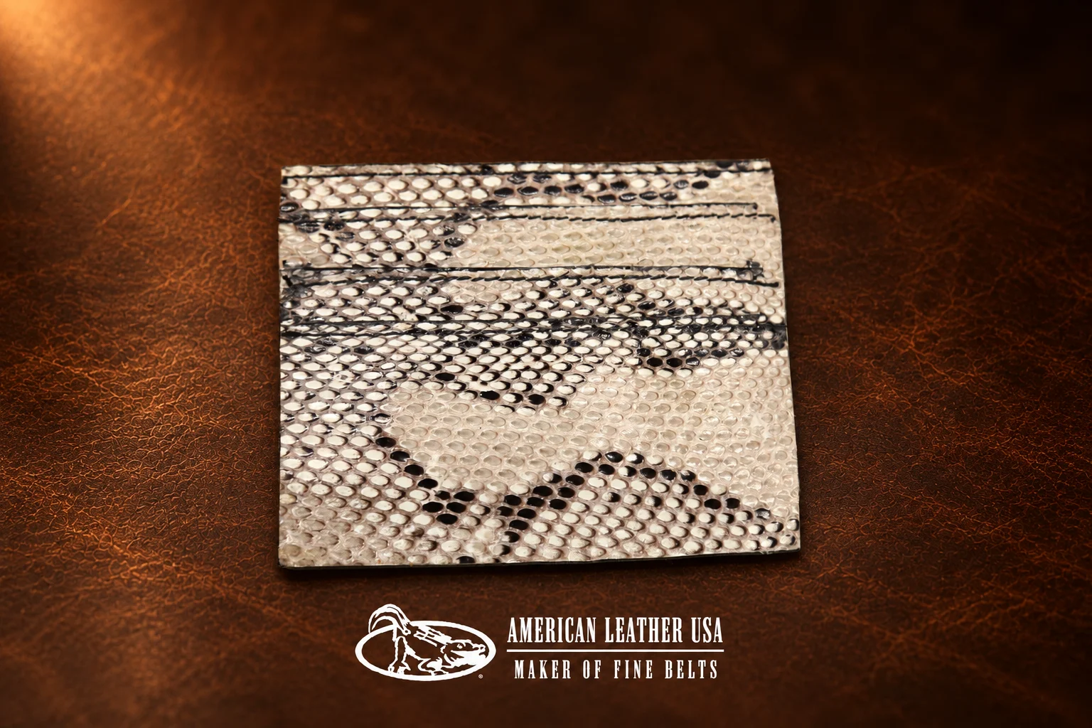 Python Card Holder