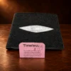 Authentic Stingray Skin White Pearl Eye Bi-Fold Wallet — detail view 2