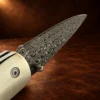 Natural Stabilized Cholla Cactus Damascus Blade Liner Lock Folding Pocket Knife — detail view 2