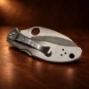 SPYDERCO Folding Locking Pocket Knife w MOP & Agate Handle — detail view 3